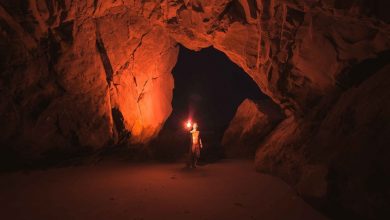 Tarih Öncesi Dönemde 10 Mağara Sanatı